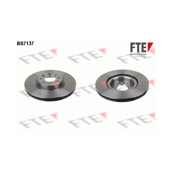 Stabdžių diskas FTE 9072602