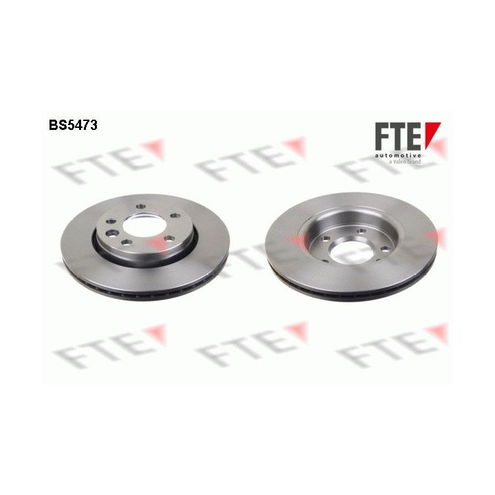 Stabdžių diskas FTE 9072608