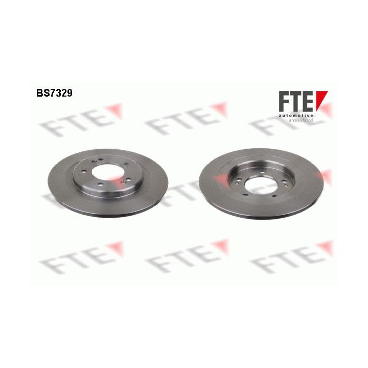 Stabdžių diskas FTE 9072653