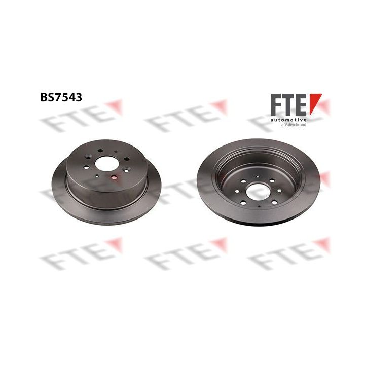 Stabdžių diskas FTE 9072794