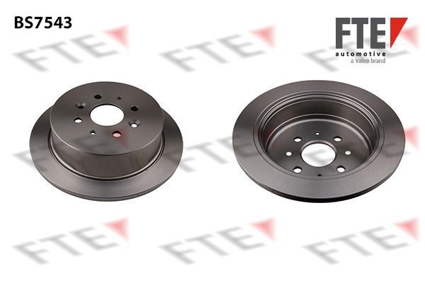 Stabdžių diskas FTE 9072794