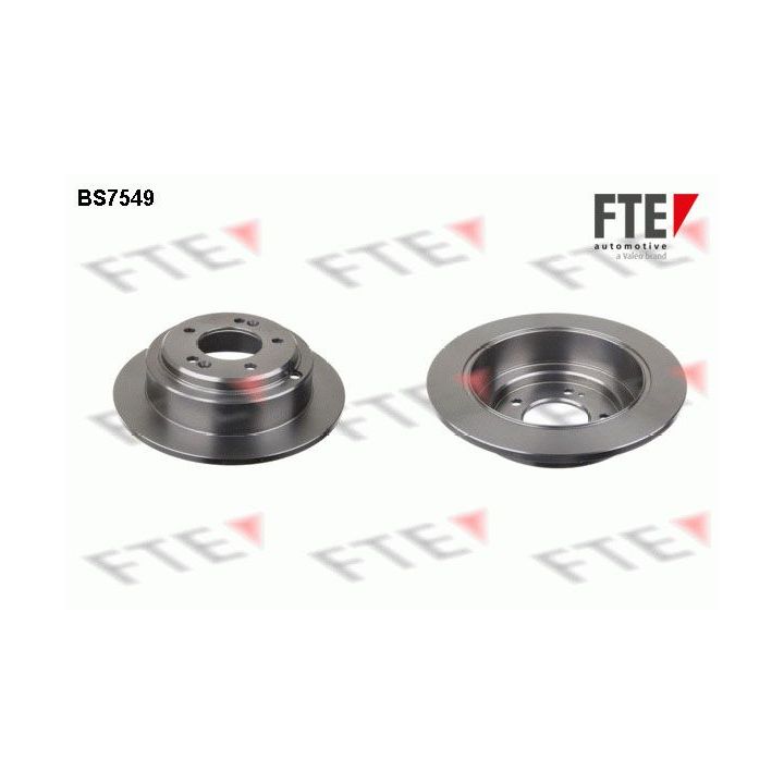 Stabdžių diskas FTE 9072796