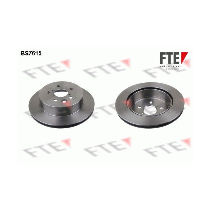 Stabdžių diskas FTE 9072806