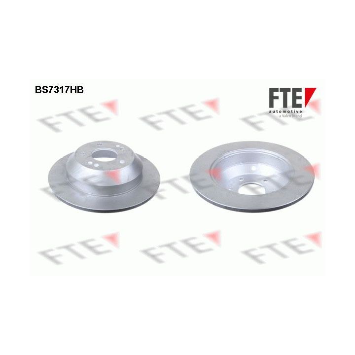 Stabdžių diskas FTE 9072844