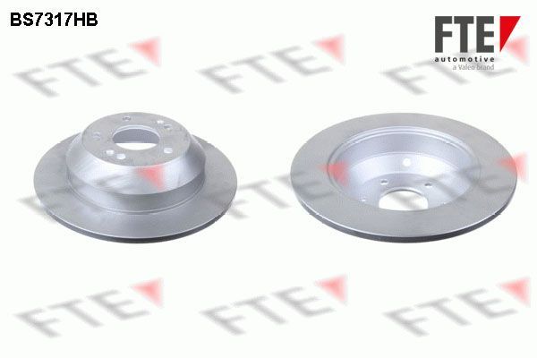 Stabdžių diskas FTE 9072844