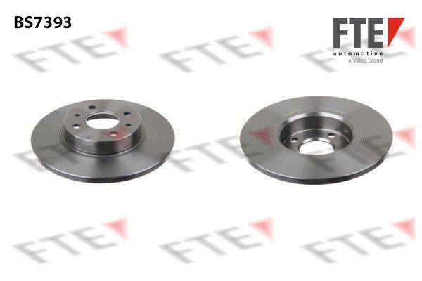 Stabdžių diskas FTE 9072847