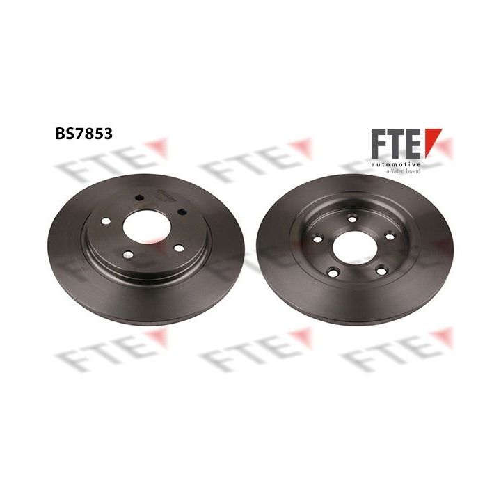 Stabdžių diskas FTE 9072852