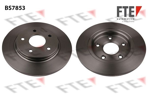 Stabdžių diskas FTE 9072852