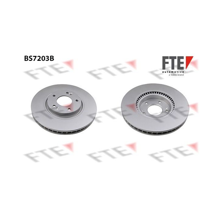 Stabdžių diskas FTE 9081027