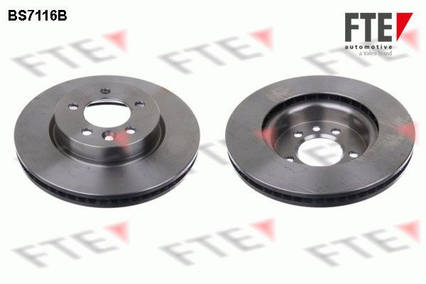 Stabdžių diskas FTE 9081037