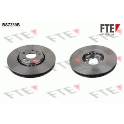 Stabdžių diskas FTE 9081046