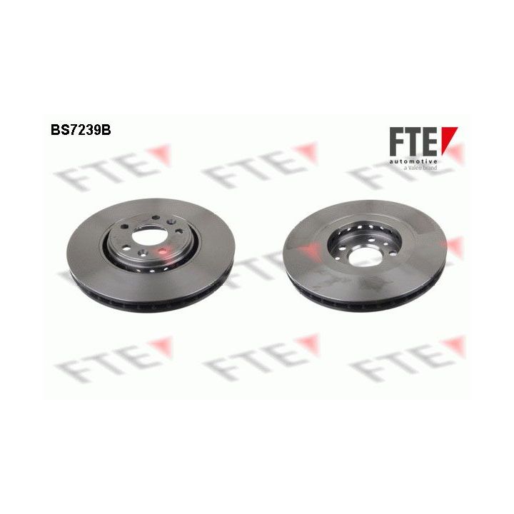 Stabdžių diskas FTE 9081046