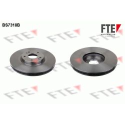 Stabdžių diskas FTE 9081052