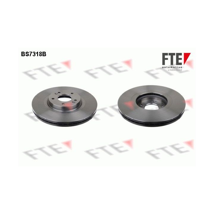 Stabdžių diskas FTE 9081052