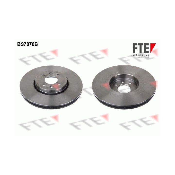Stabdžių diskas FTE 9081083