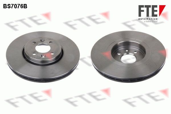 Stabdžių diskas FTE 9081083
