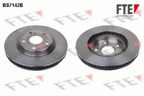Stabdžių diskas FTE 9081084