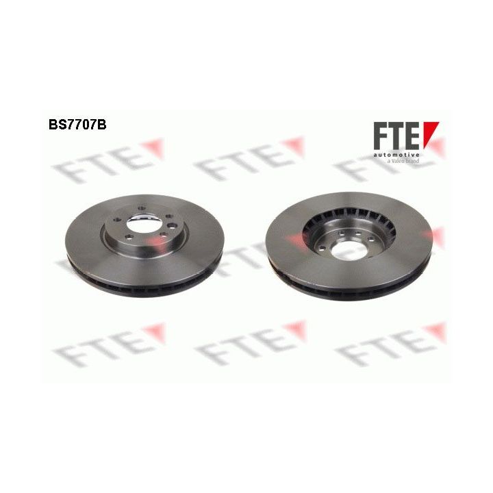 Stabdžių diskas FTE 9081139
