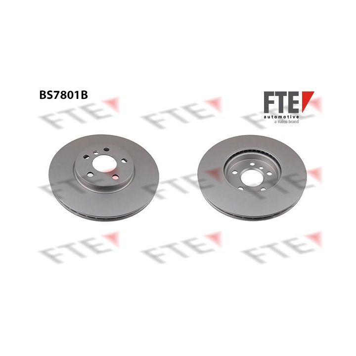 Stabdžių diskas FTE 9081162