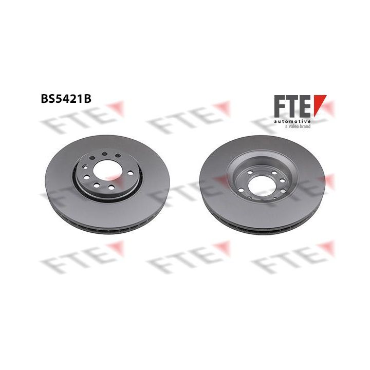 Stabdžių diskas FTE 9081176