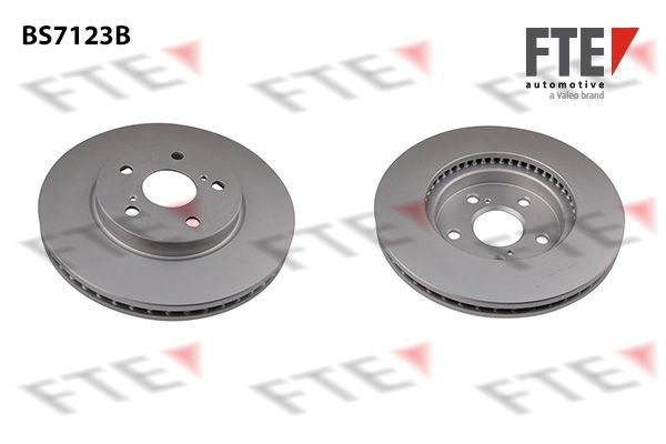 Stabdžių diskas FTE 9081183