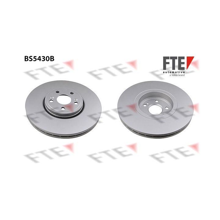 Stabdžių diskas FTE 9081191