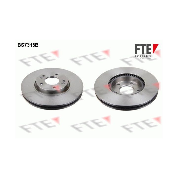 Stabdžių diskas FTE 9081215