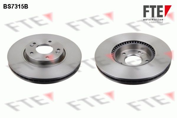 Stabdžių diskas FTE 9081215