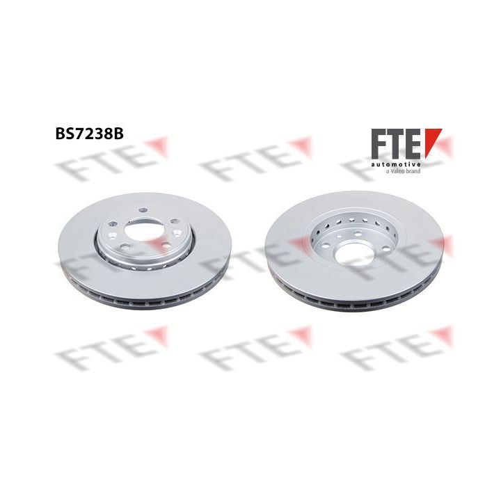 Stabdžių diskas FTE 9081219