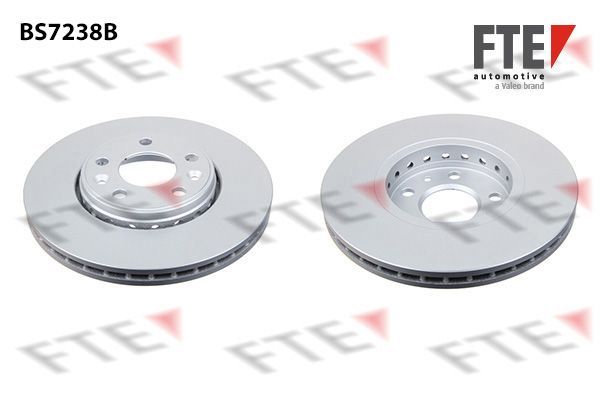Stabdžių diskas FTE 9081219