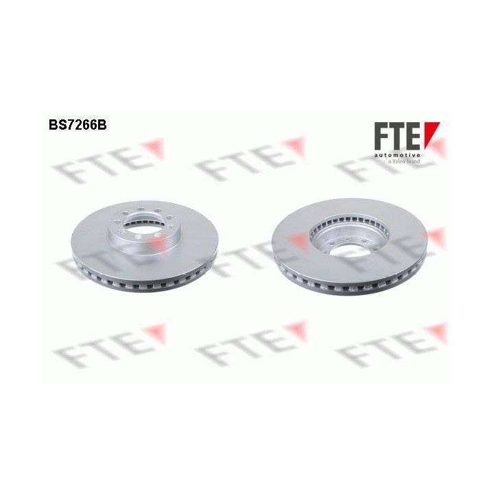 Stabdžių diskas FTE 9081261