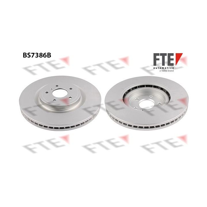 Stabdžių diskas FTE 9081269