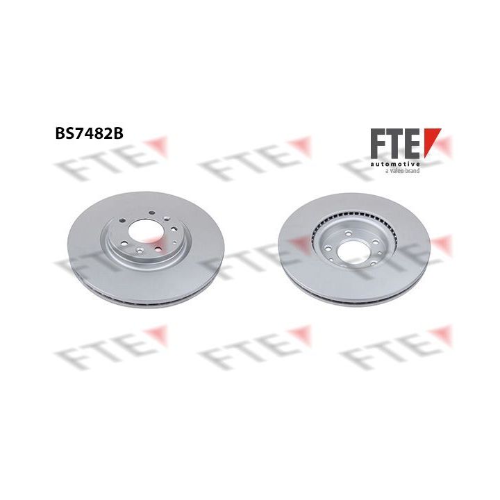 Stabdžių diskas FTE 9081271