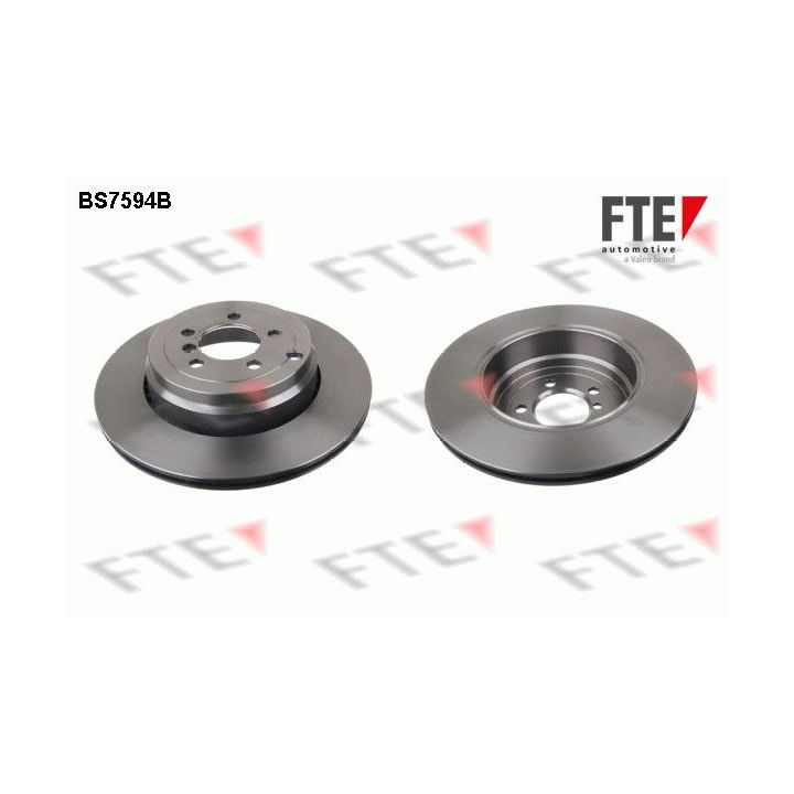 Stabdžių diskas FTE 9081280