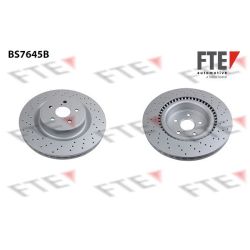 Stabdžių diskas FTE 9081286