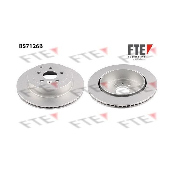 Stabdžių diskas FTE 9081317