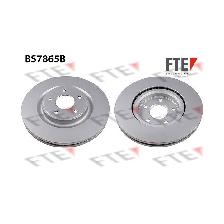 Stabdžių diskas FTE 9081342