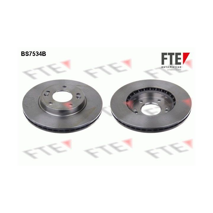 Stabdžių diskas FTE 9082051
