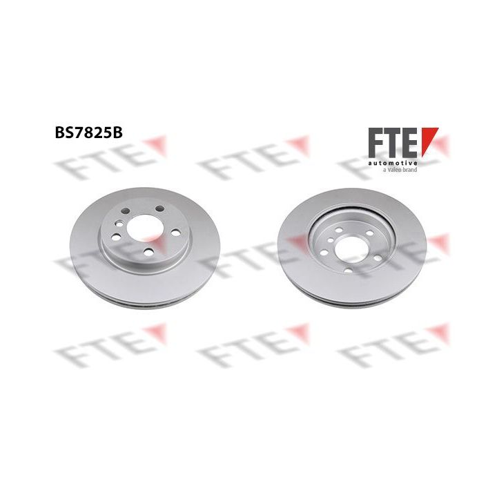 Stabdžių diskas FTE 9082245