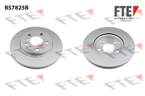 Stabdžių diskas FTE 9082245