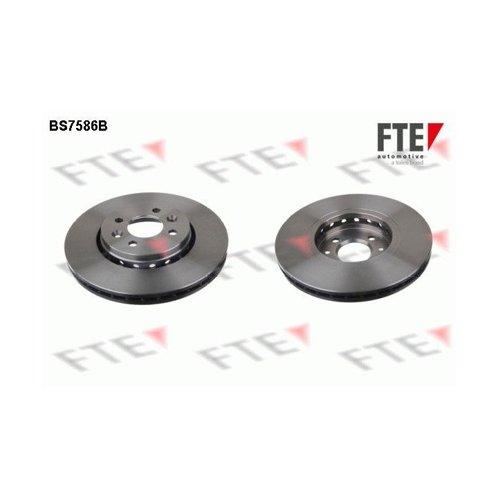 Stabdžių diskas FTE 9082255