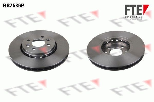 Stabdžių diskas FTE 9082255