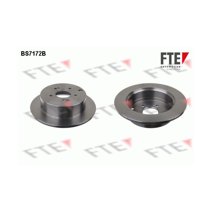 Stabdžių diskas FTE 9082264