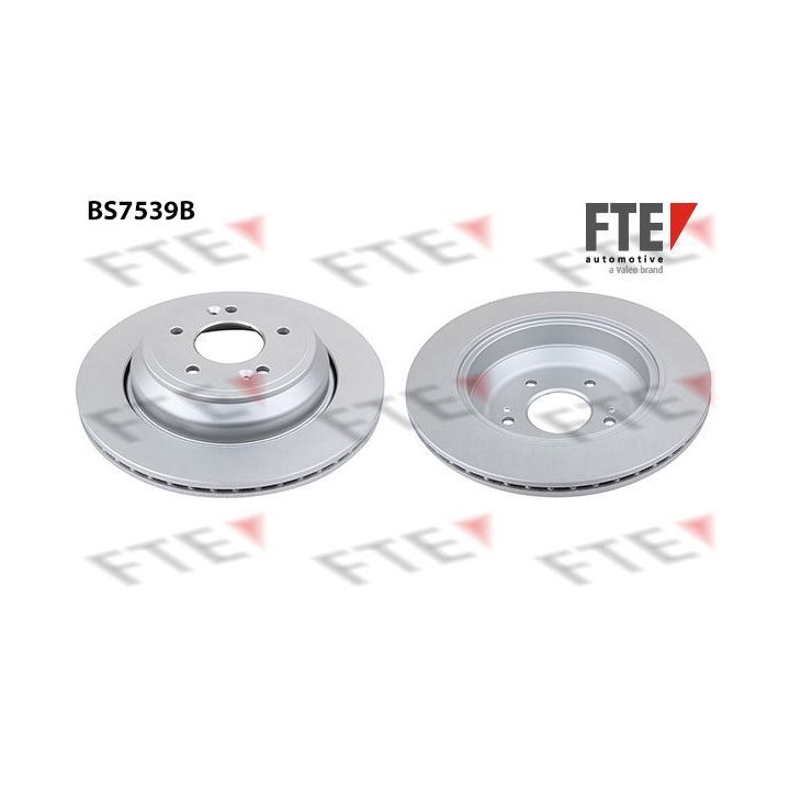 Stabdžių diskas FTE 9082265