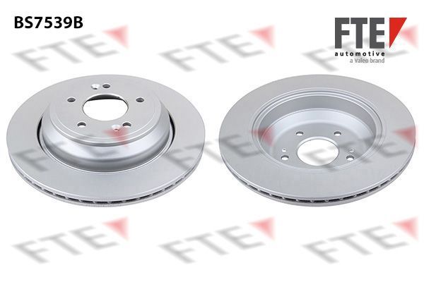 Stabdžių diskas FTE 9082265