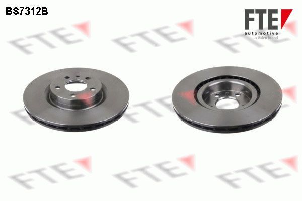 Stabdžių diskas FTE 9082270