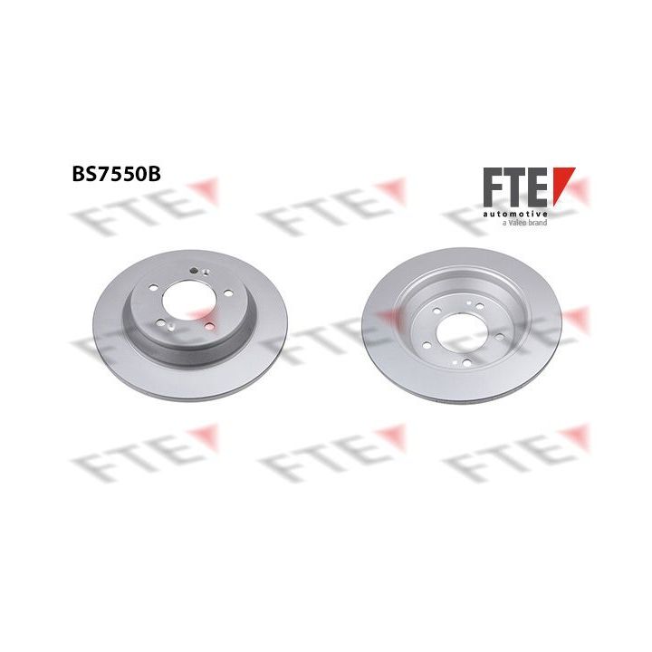 Stabdžių diskas FTE 9082275