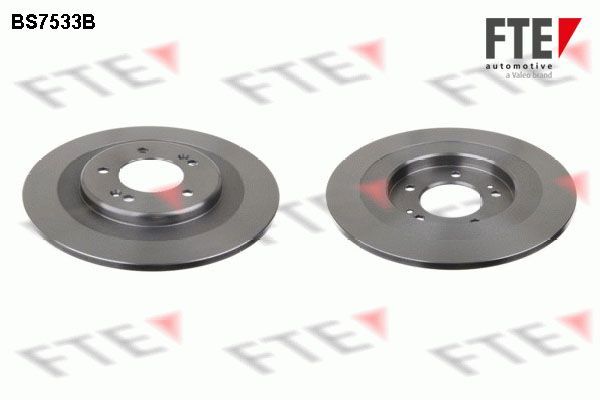 Stabdžių diskas FTE 9082284
