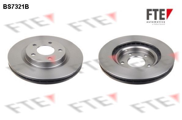 Stabdžių diskas FTE 9082288