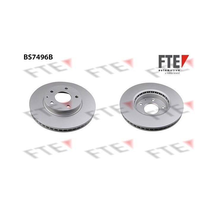 Stabdžių diskas FTE 9082295